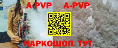 ешки Кингисепп
