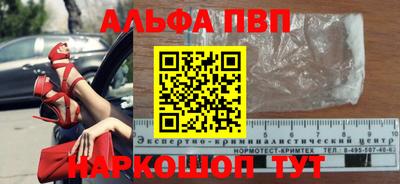 ешки Кингисепп