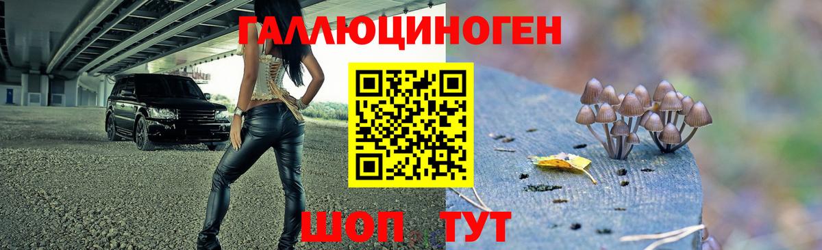 Галлюциногенные грибы прущие грибы Лиски
