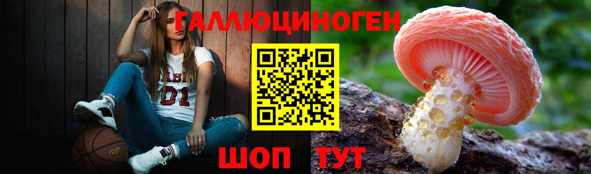 Псилоцибиновые грибы MAGIC MUSHROOMS  Вход с VPN  Лиски  Псилоцибиновые грибы прущие грибы 